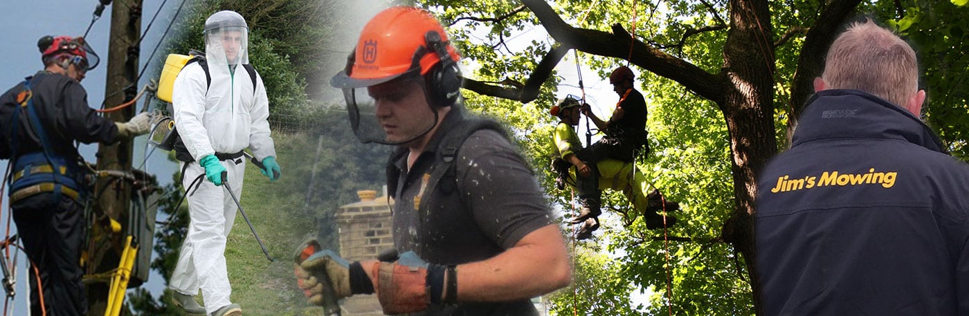Chainsaw Courses and Grounds Maintenance training for Local Authorities