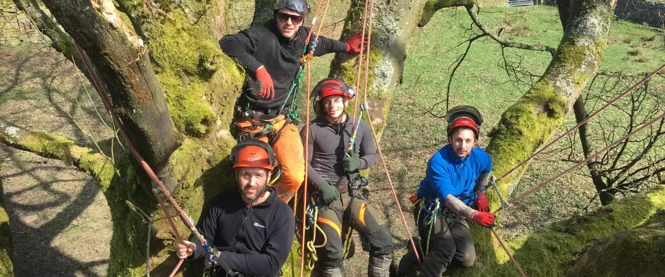 Aerial Rescue and Pruning Courses