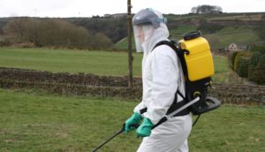 Man applying pesticides with back pack sprayer and full safety clothing.