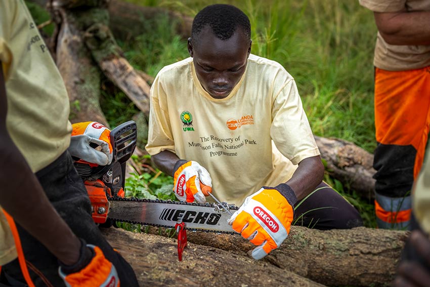 Chainsaw maintenance in practice